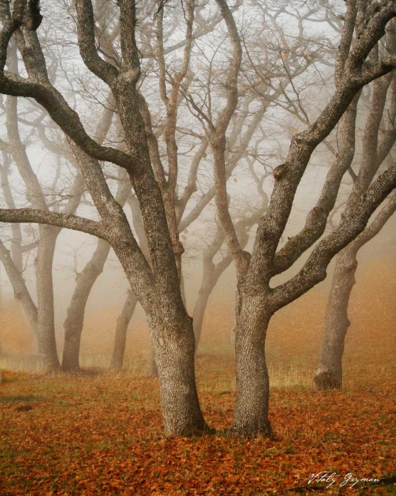 Similar wall art painting: 578