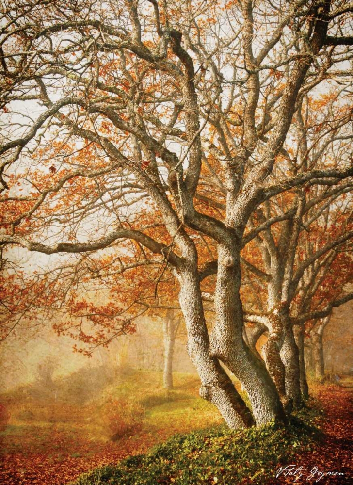 Similar wall art painting: 581