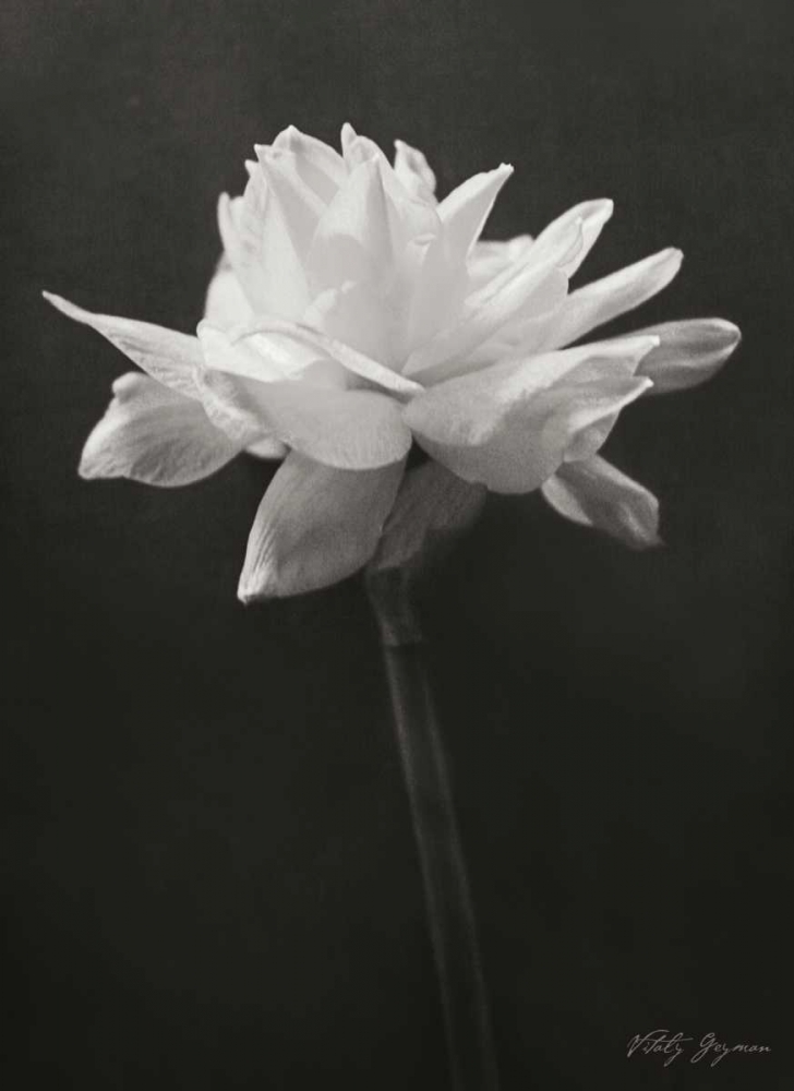 Similar wall art painting: 738