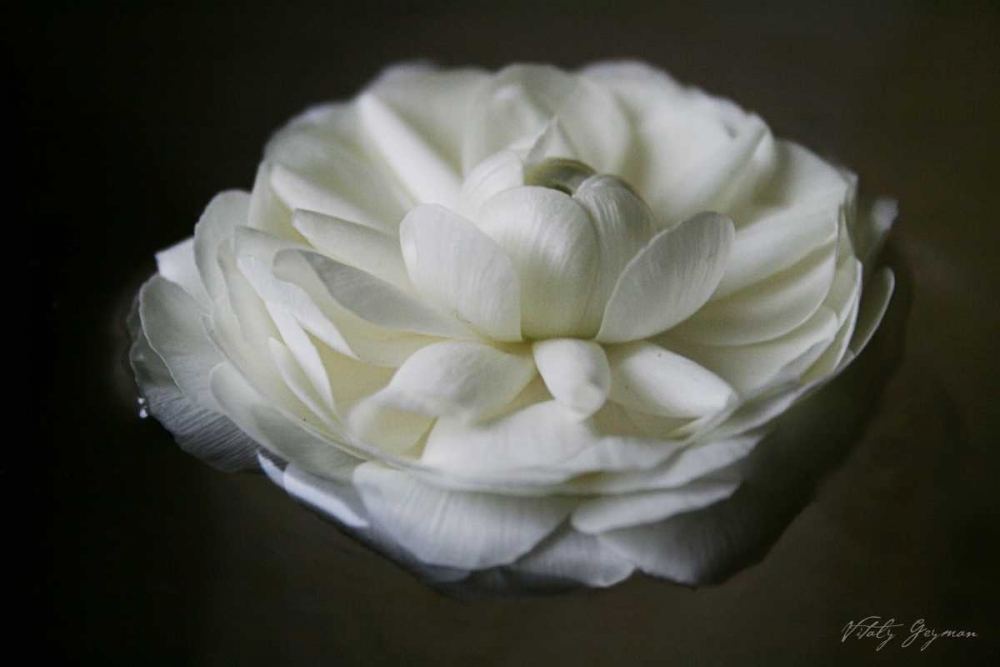 Similar wall art painting: 741