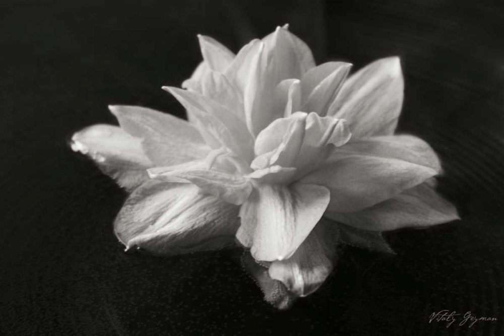 Similar wall art painting: 743