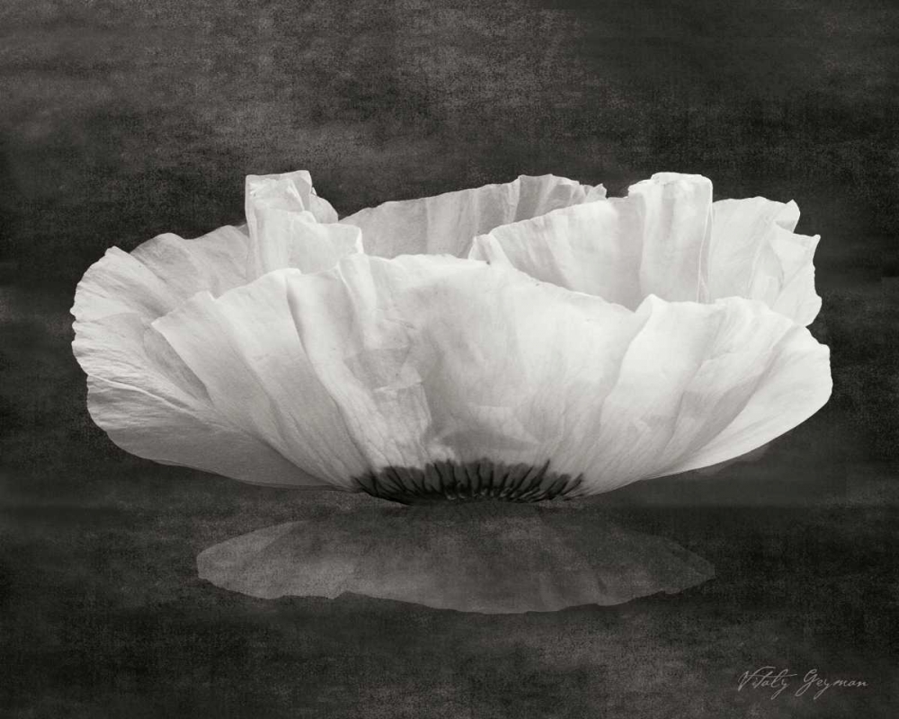 Similar wall art painting: 744