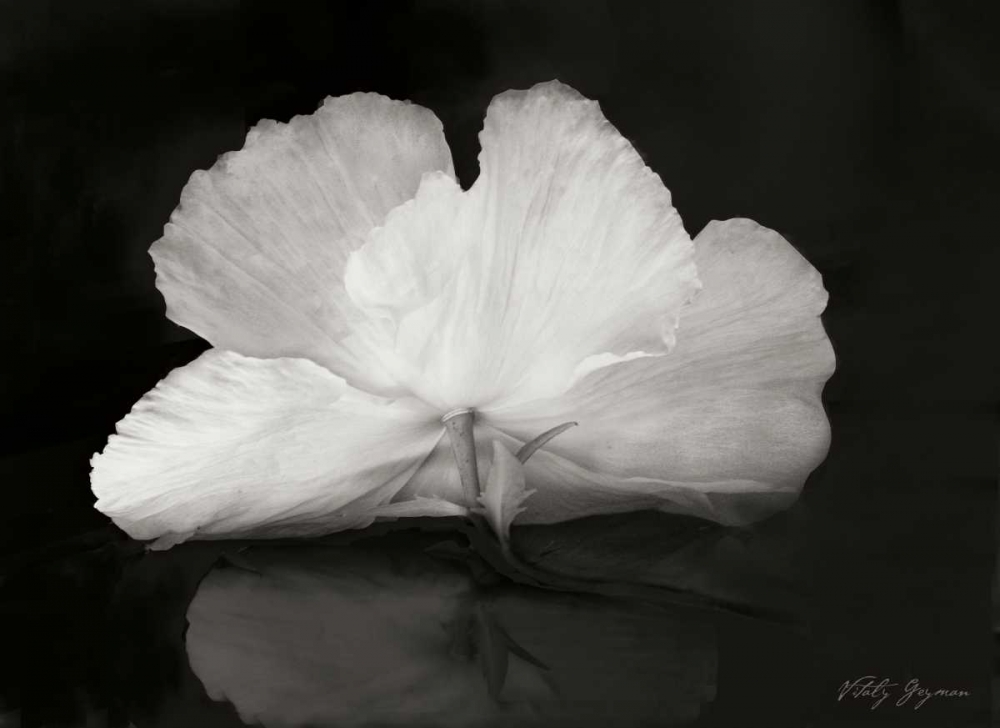 Similar wall art painting: 745