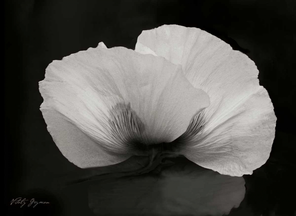 Similar wall art painting: 746