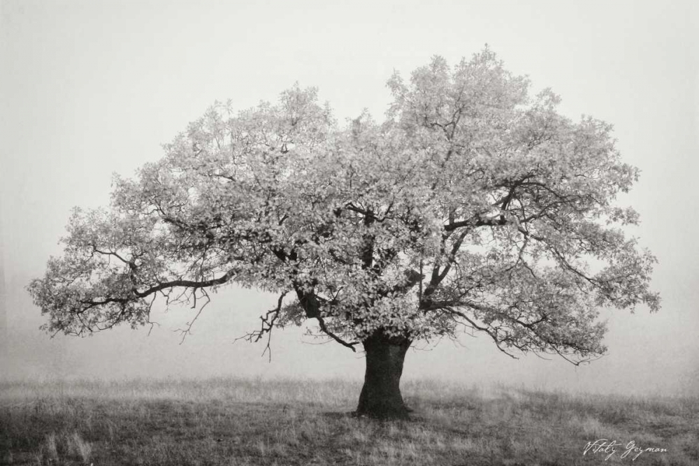 Similar wall art painting: 769