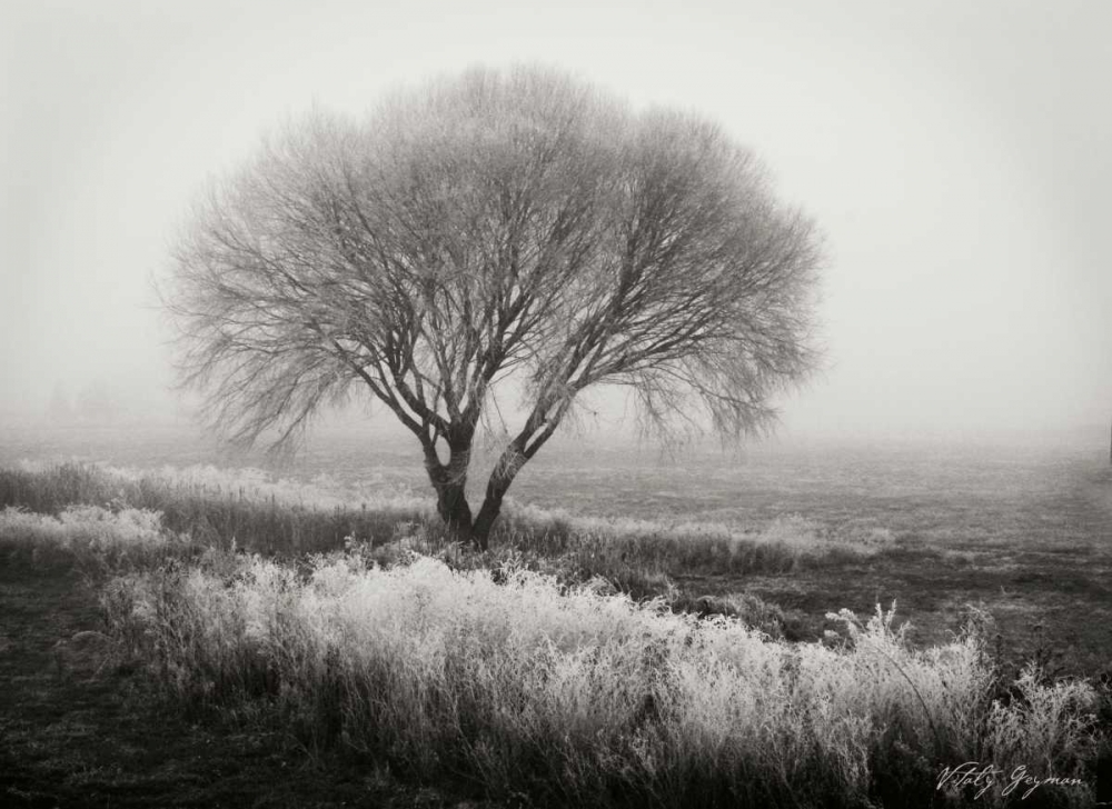 Similar wall art painting: 770