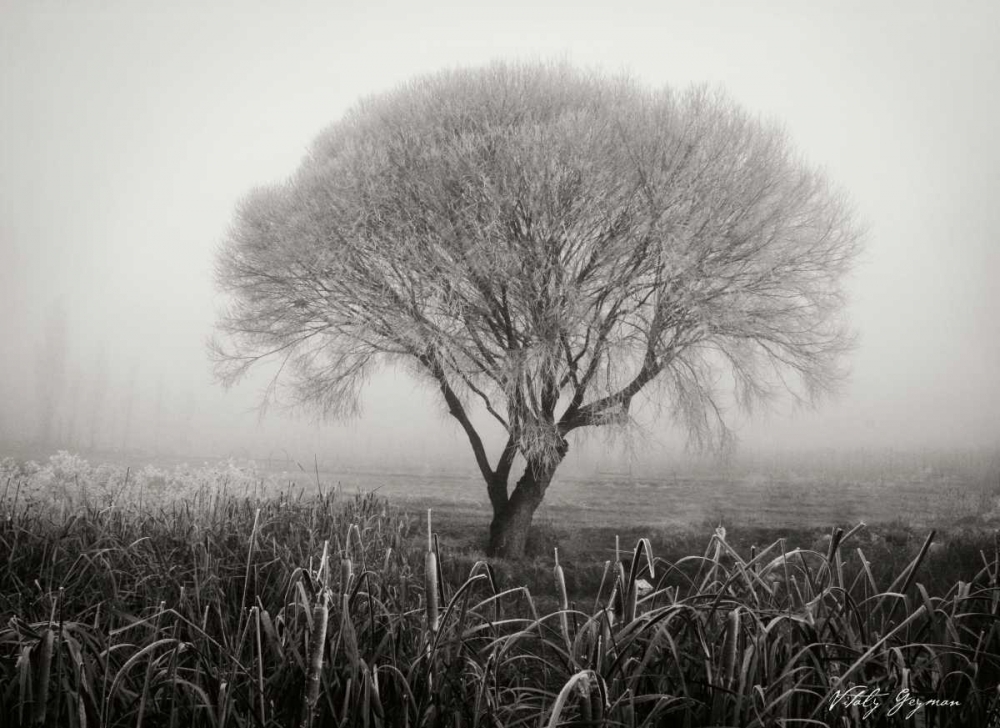 Similar wall art painting: 772