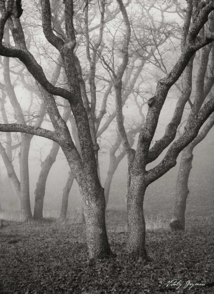 Similar wall art painting: 778