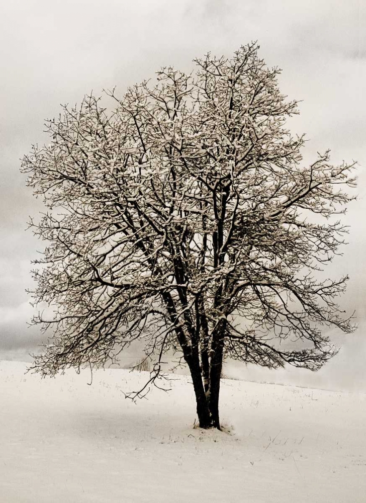 Similar wall art painting: 3789