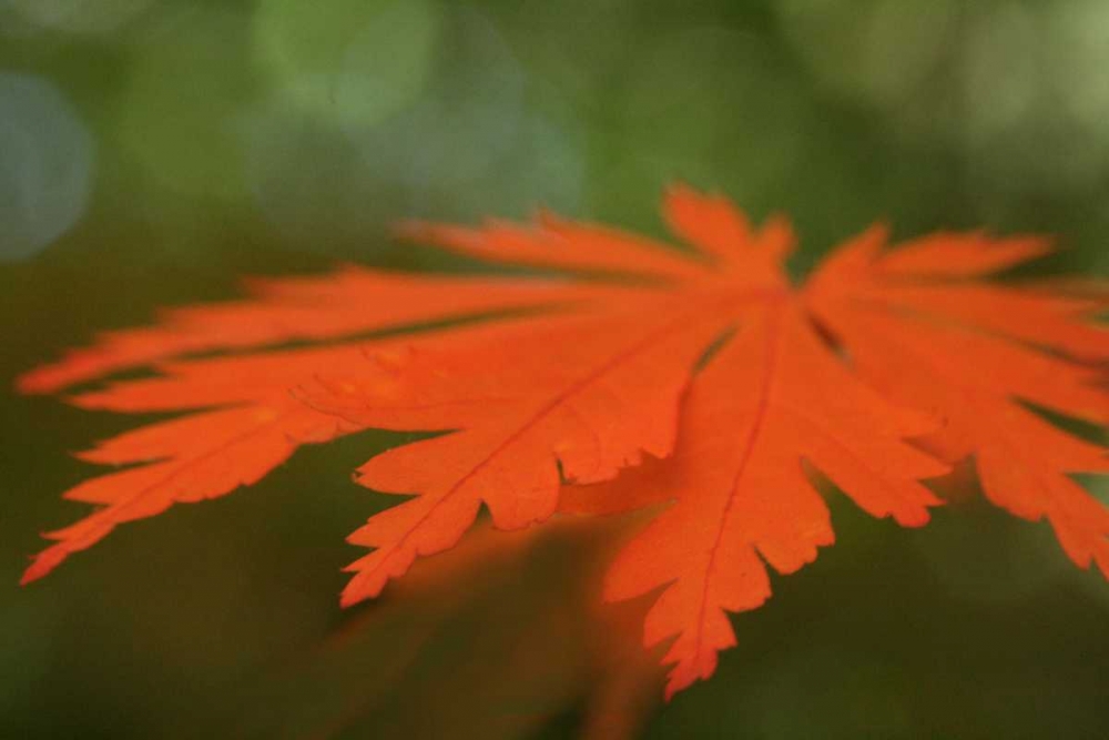 Similar wall art painting: 3790