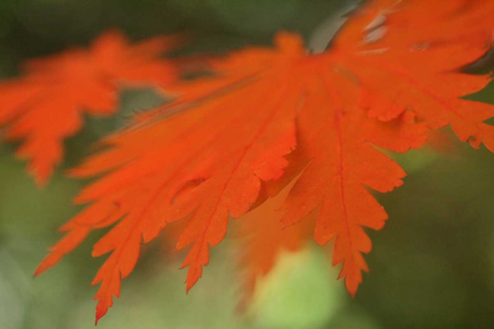 Similar wall art painting: 3791