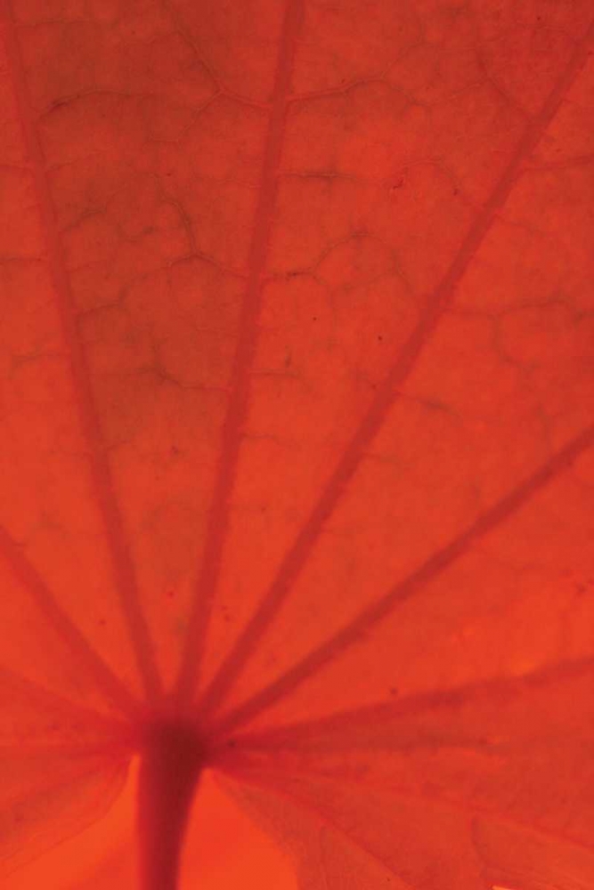 Similar wall art painting: 3794