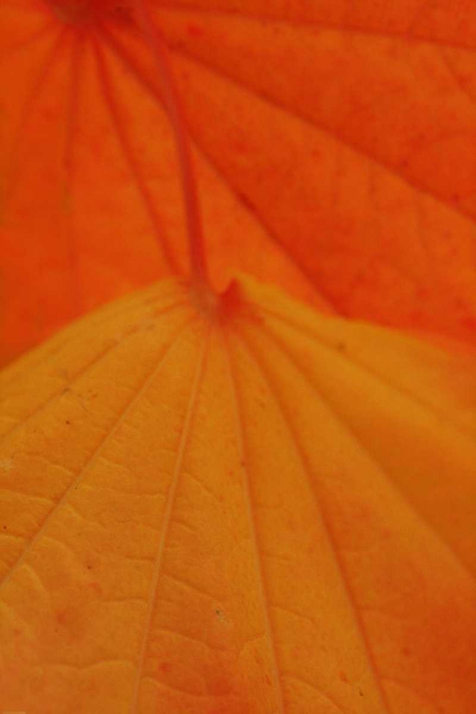 Similar wall art painting: 3795