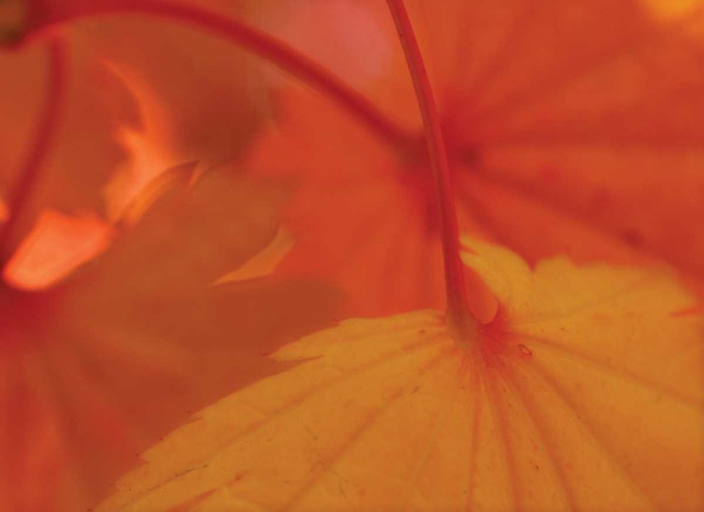 Similar wall art painting: 3796