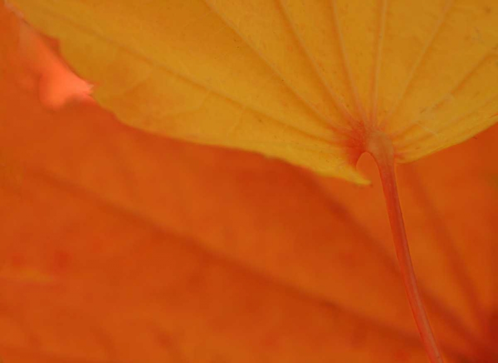 Similar wall art painting: 3797