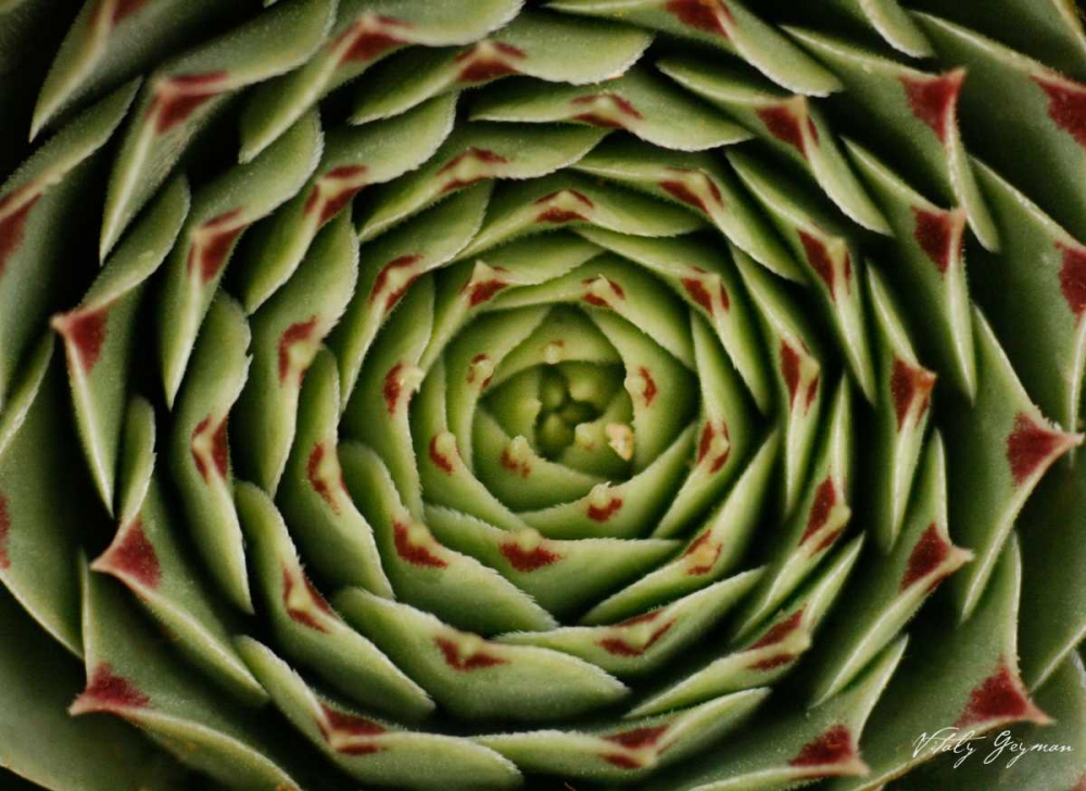 Similar wall art painting: 3800