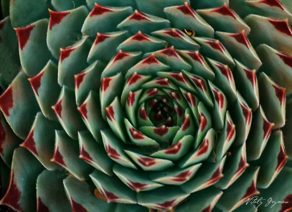 Similar wall art painting: 3801