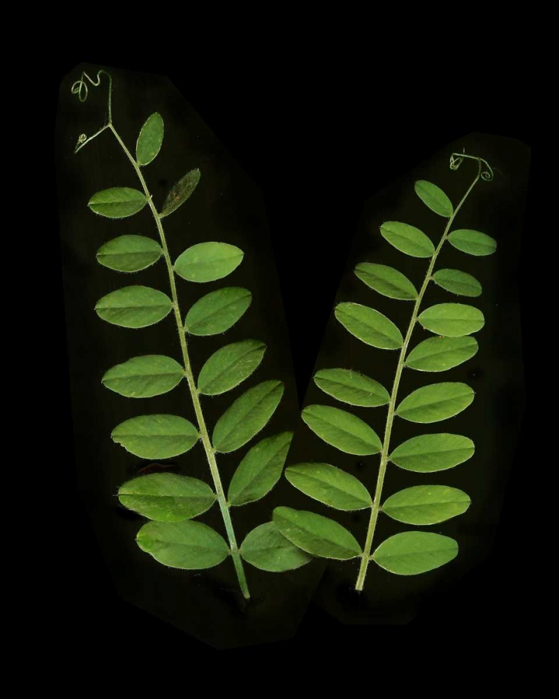 Similar wall art painting: 3811