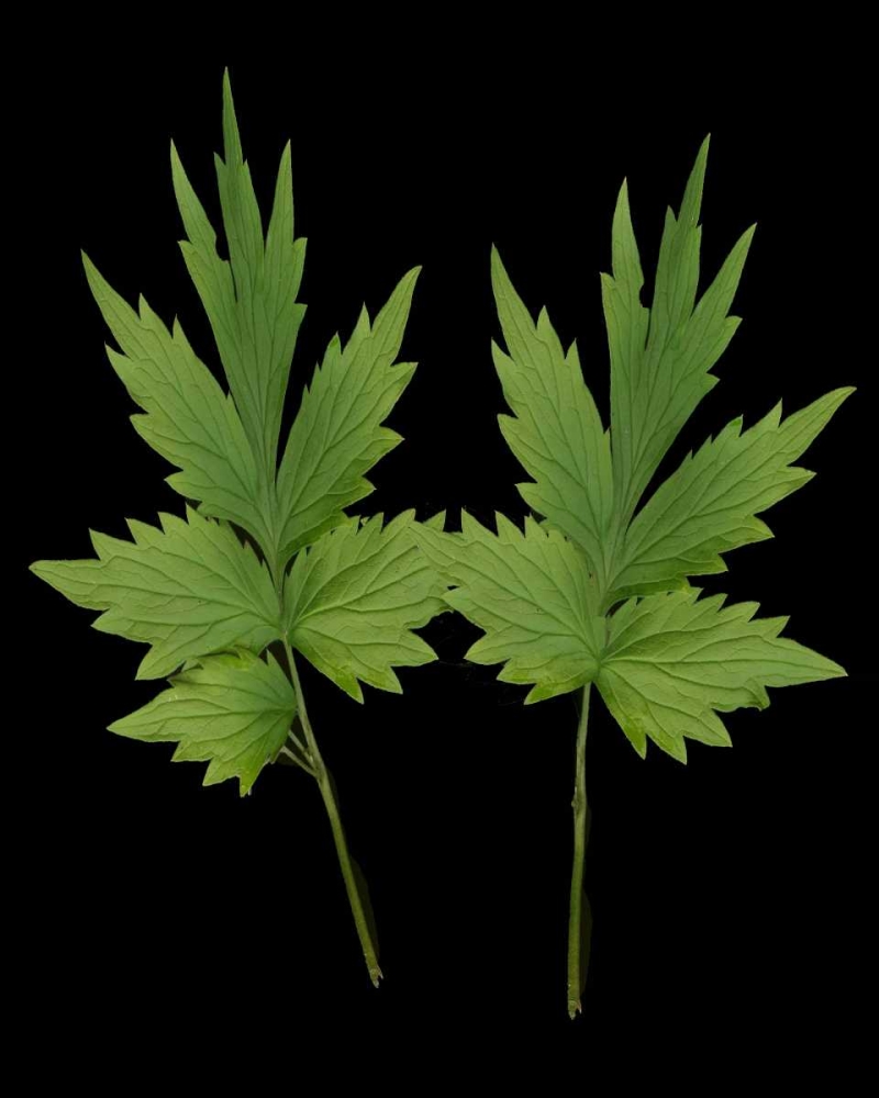 Similar wall art painting: 3812