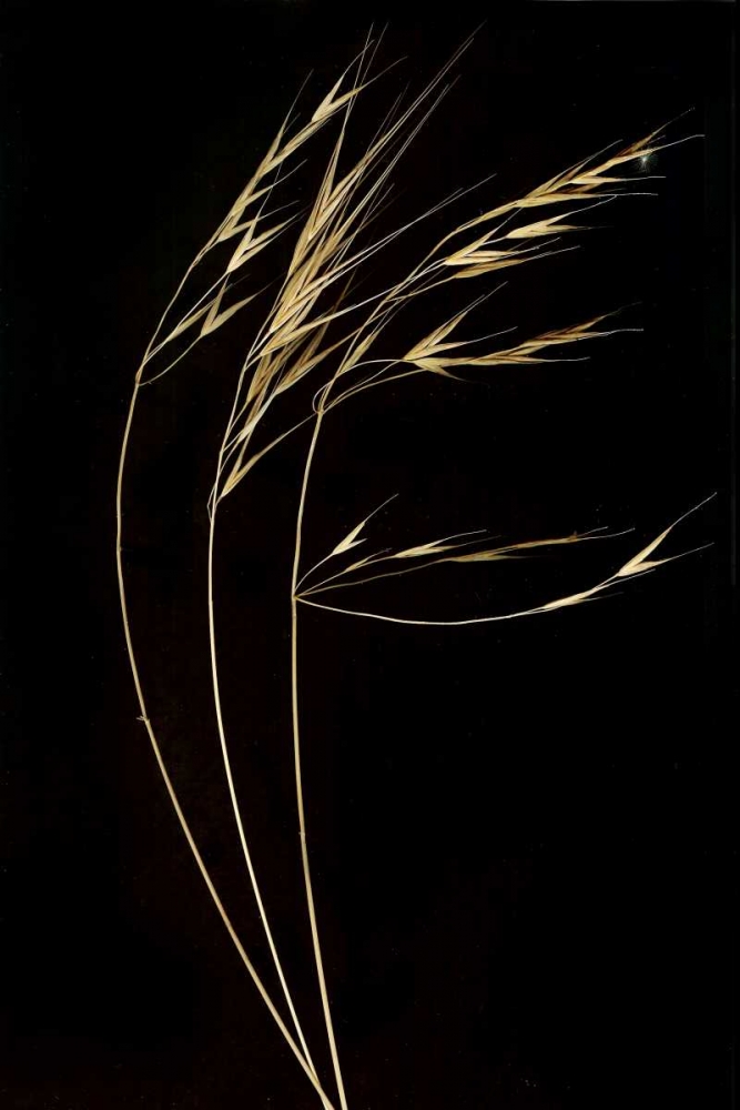 Similar wall art painting: 3821