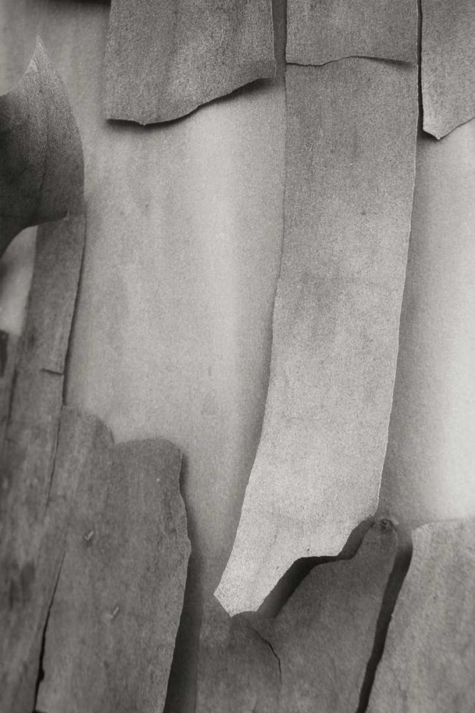 Similar wall art painting: 3964