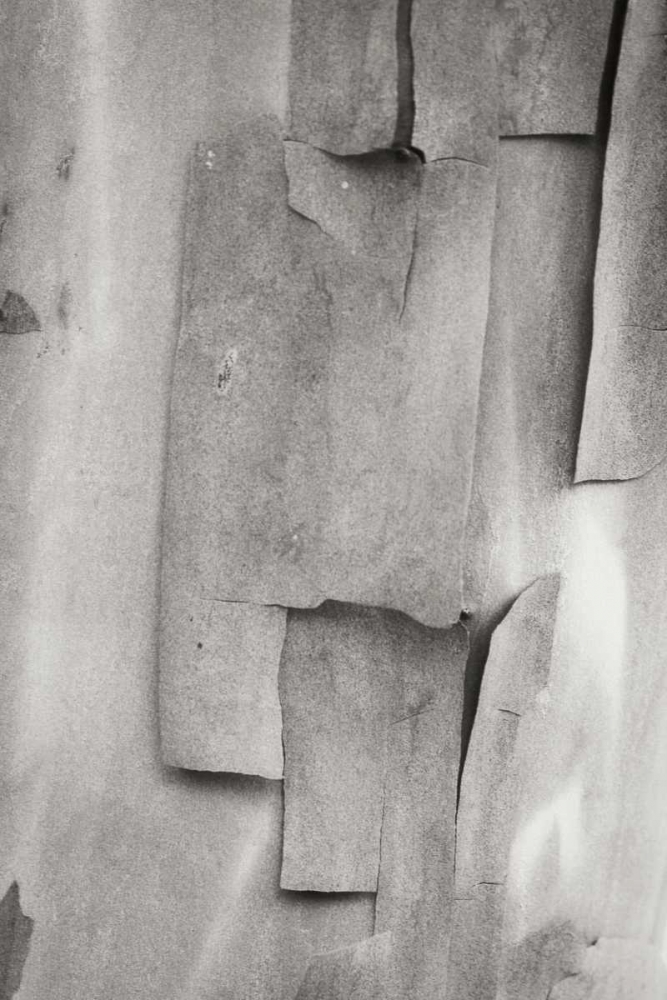 Similar wall art painting: 3965