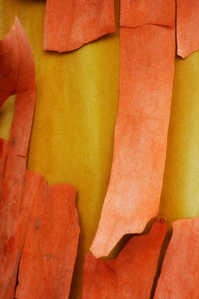 Similar wall art painting: 3966