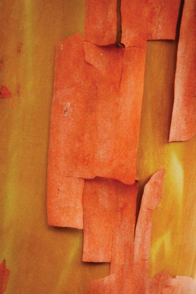 Similar wall art painting: 3967