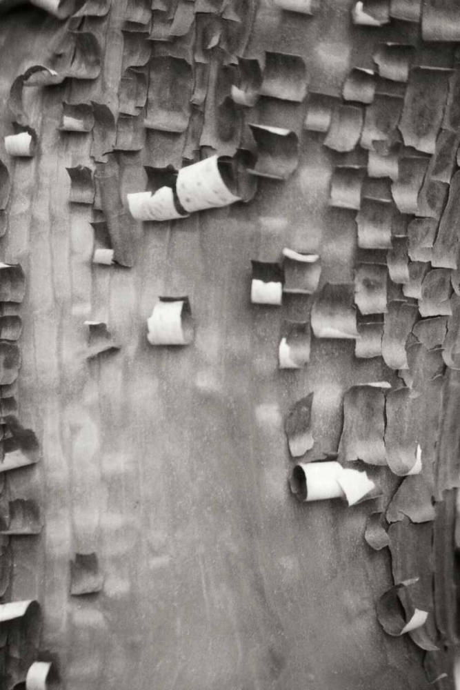 Similar wall art painting: 3968