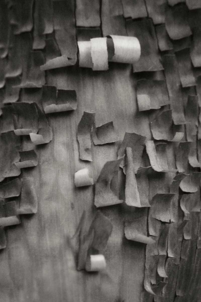 Similar wall art painting: 3969