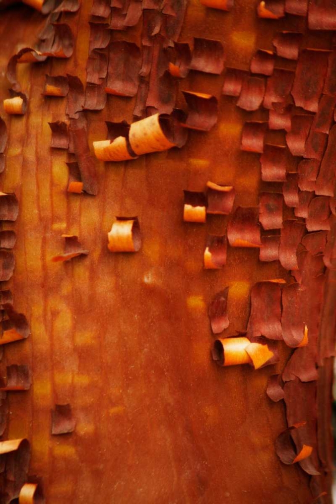 Similar wall art painting: 3970