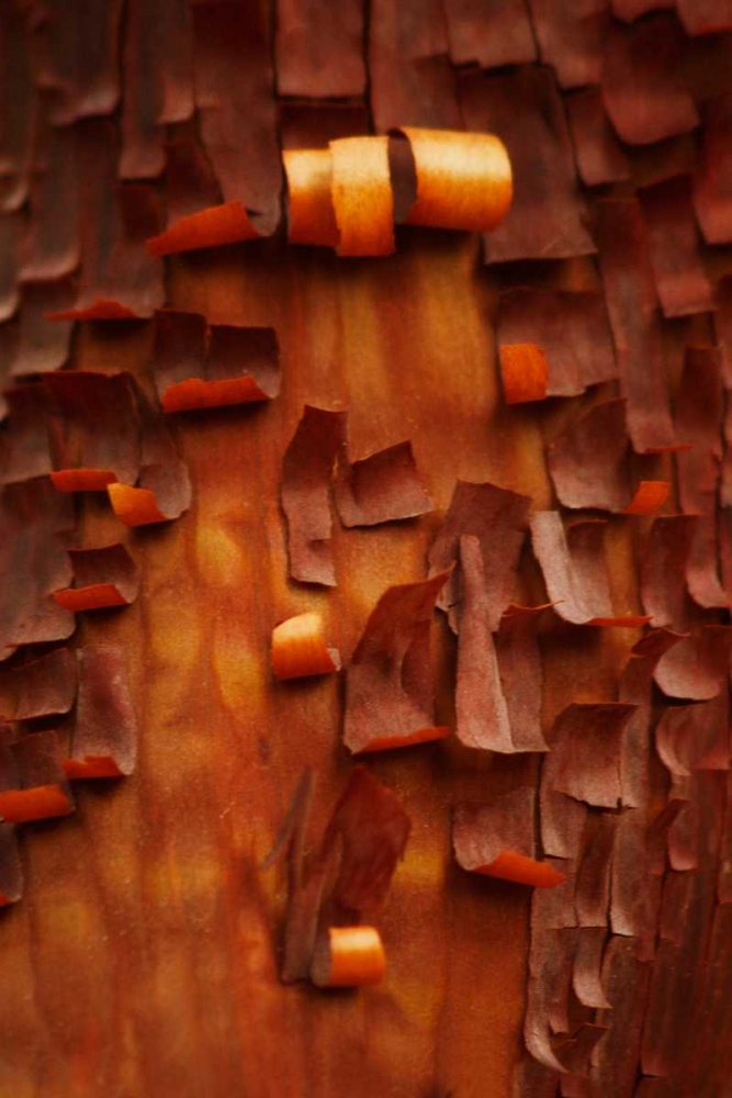 Similar wall art painting: 3971