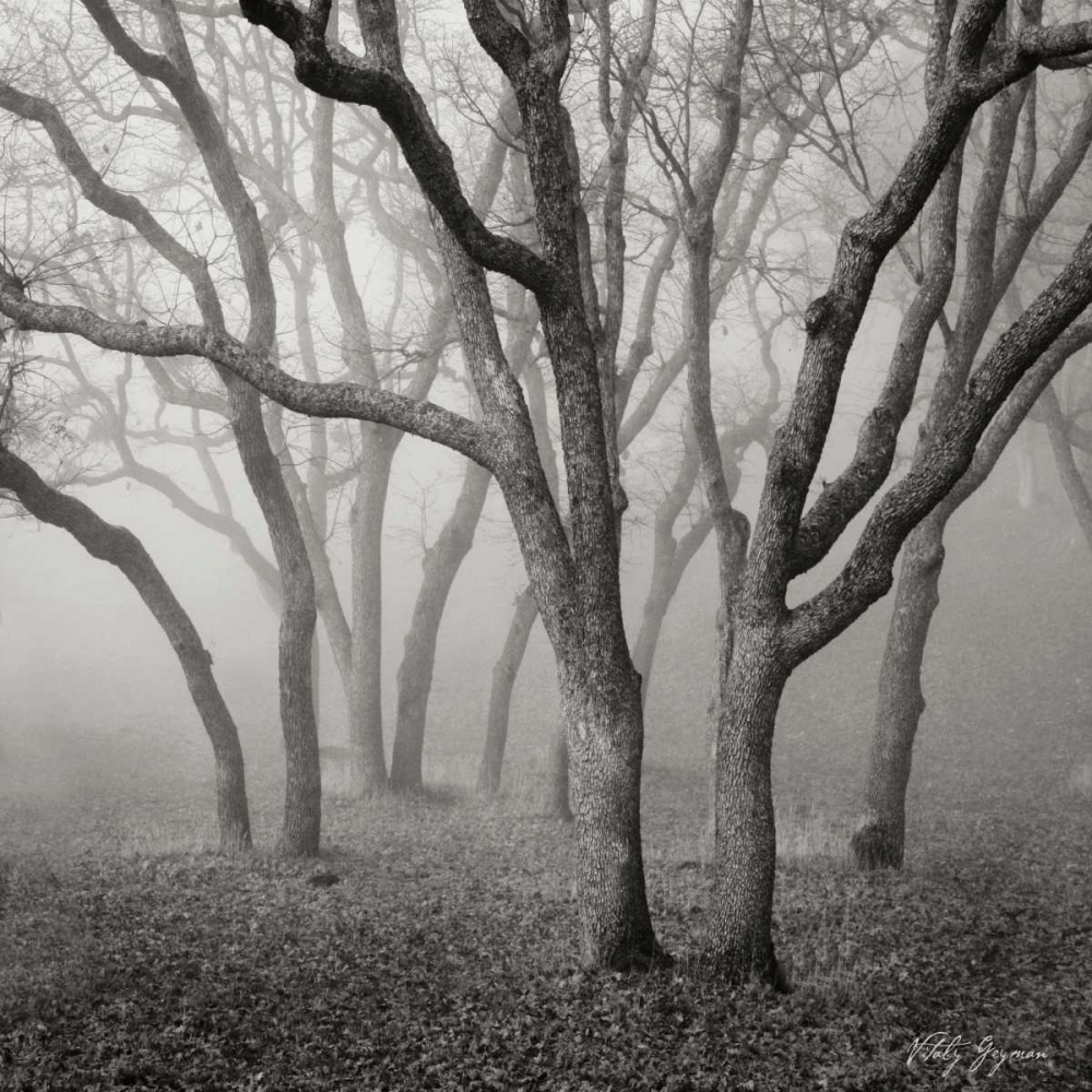 Similar wall art painting: 9914