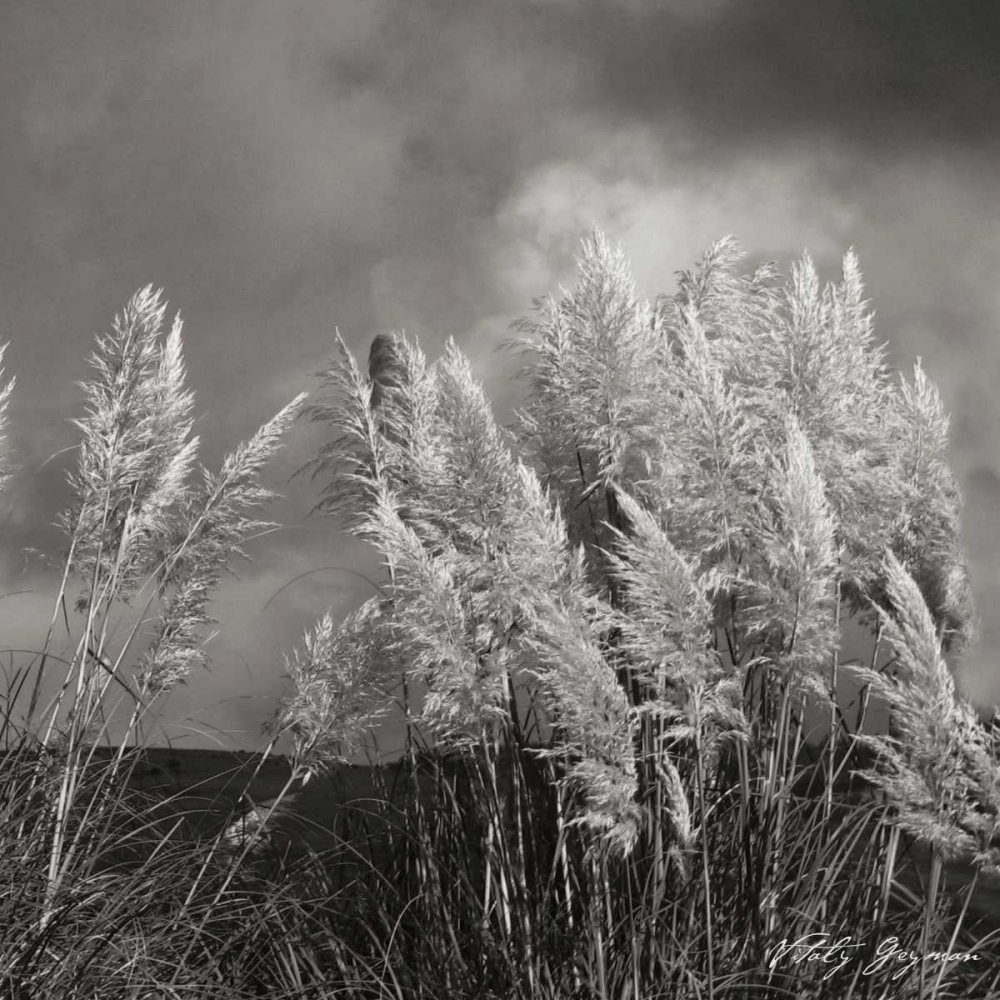 Similar wall art painting: 9916