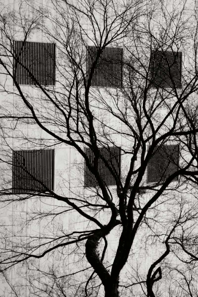 Similar wall art painting: 9925