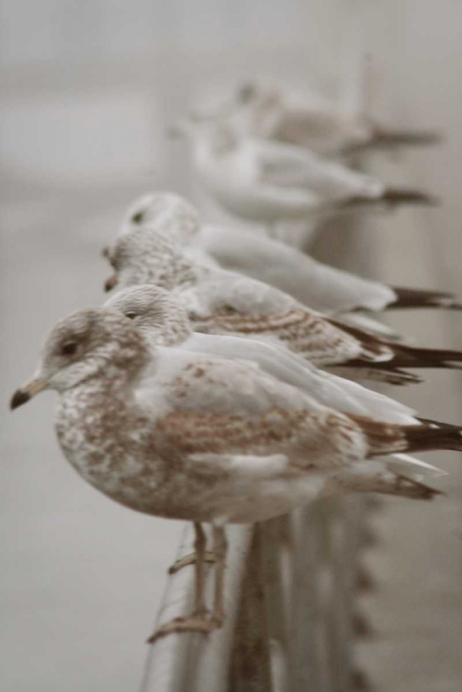 Similar wall art painting: 9931