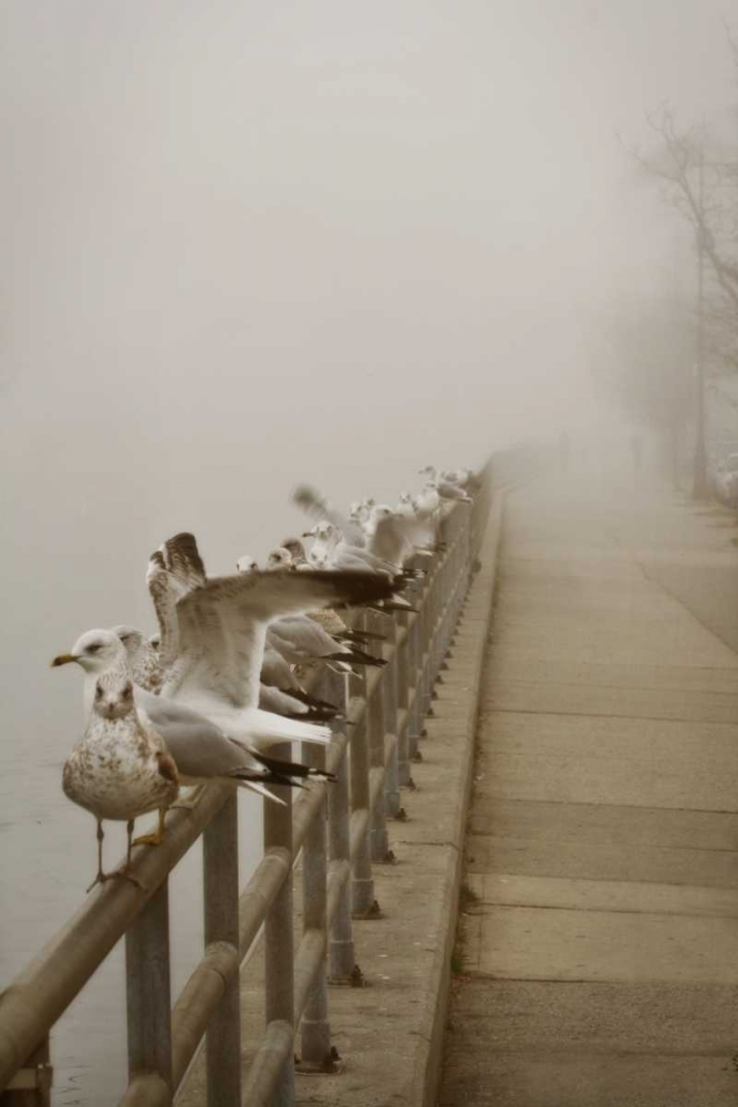 Wall Art Painting id:9932, Name: Seagul Paradise II, Artist: Vitaly, Geyman