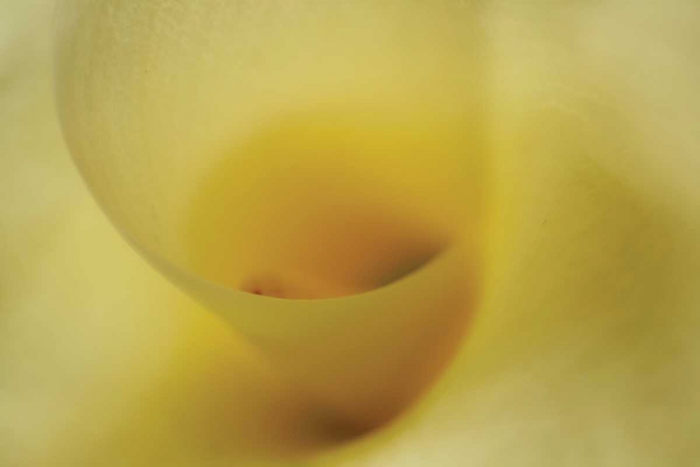 Similar wall art painting: 20334