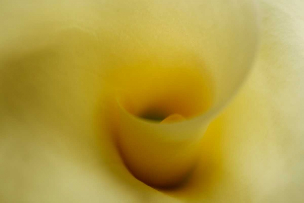 Similar wall art painting: 20335