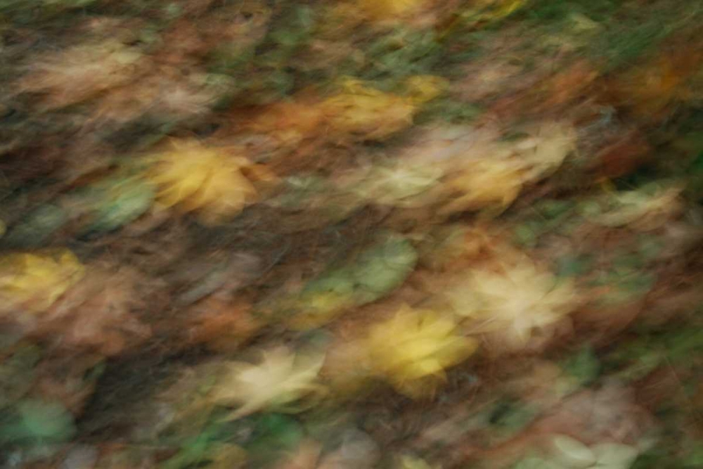 Similar wall art painting: 64425