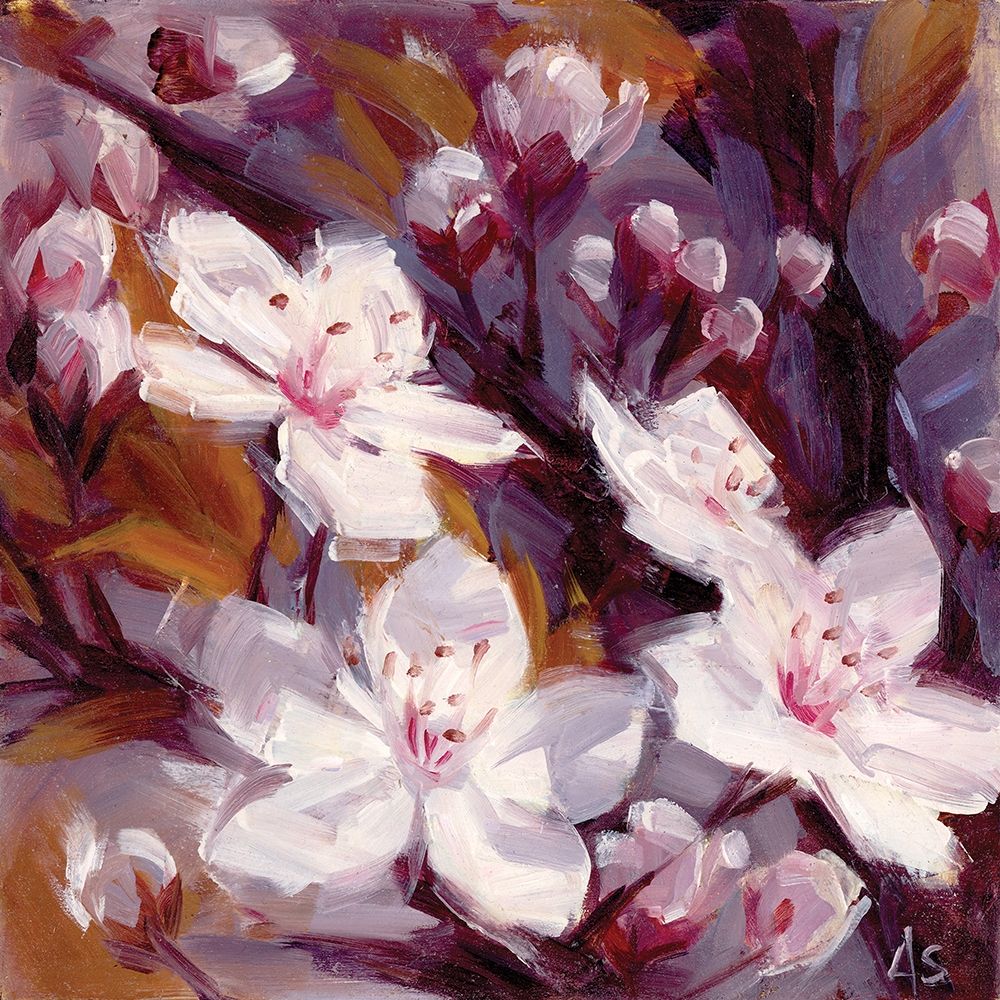 Wall Art Painting id:219647, Name: Cherry Blossoms, Artist: Salness, Annie