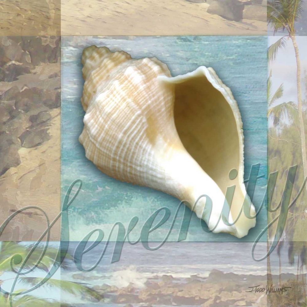 Wall Art Painting id:6627, Name: Serenity Shell, Artist: Williams, Todd