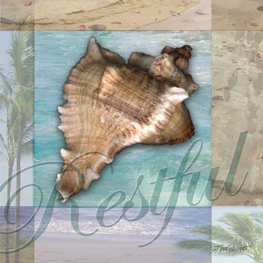 Wall Art Painting id:6628, Name: Restful Shell, Artist: Williams, Todd