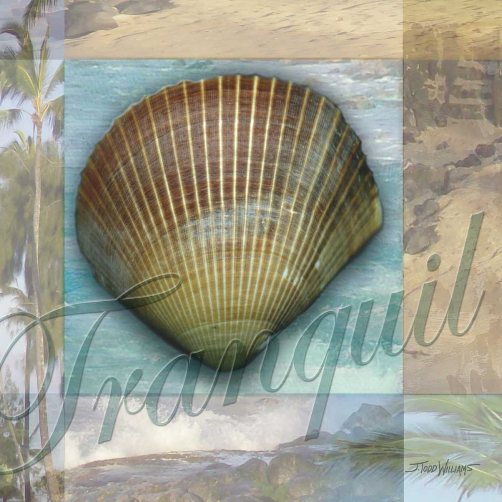 Wall Art Painting id:6630, Name: Tranquil Shell, Artist: Williams, Todd
