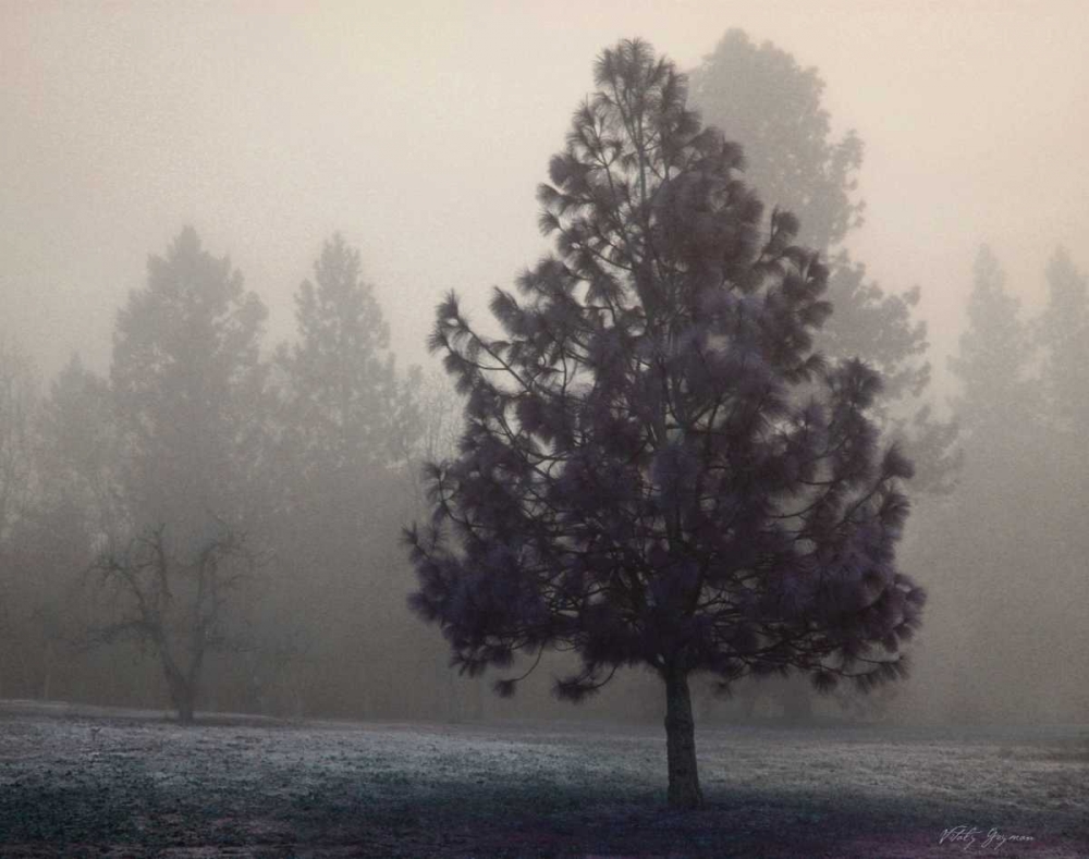 Similar wall art painting: 6685