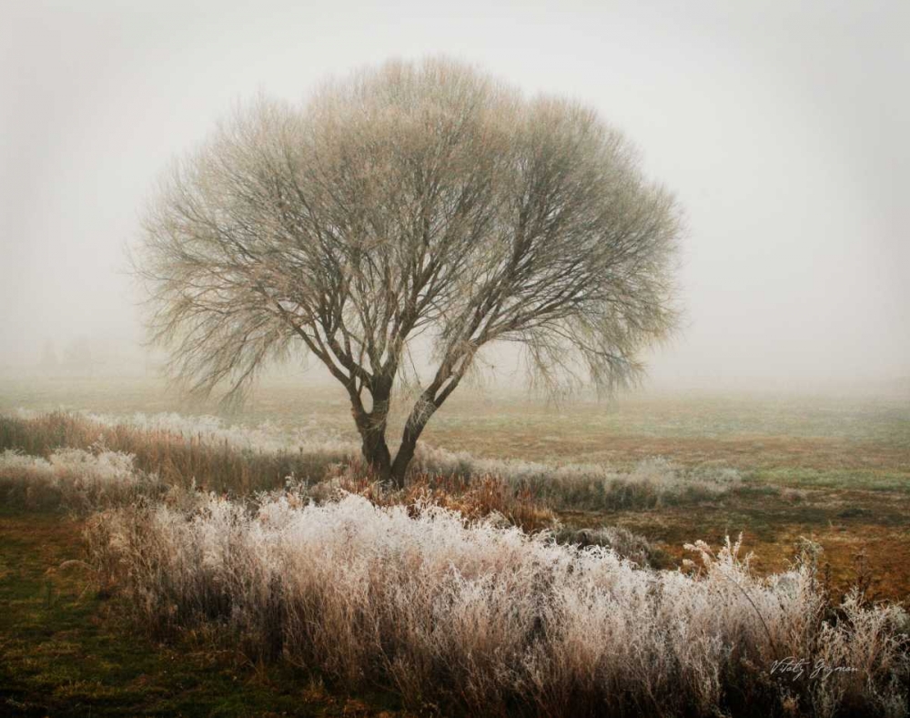 Similar wall art painting: 6687