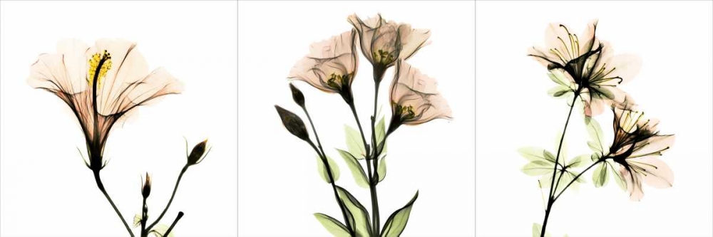 Similar wall art painting: 22070