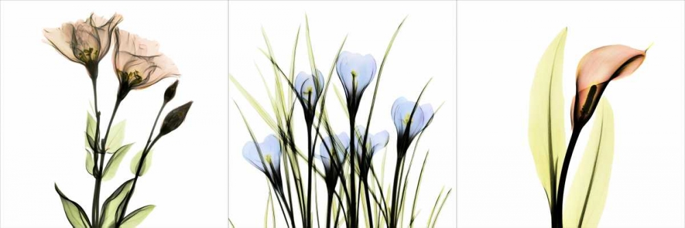 Similar wall art painting: 22076