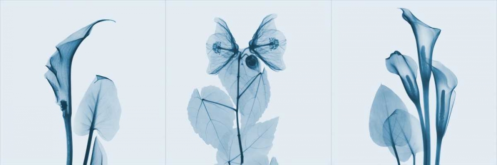 Similar wall art painting: 22078