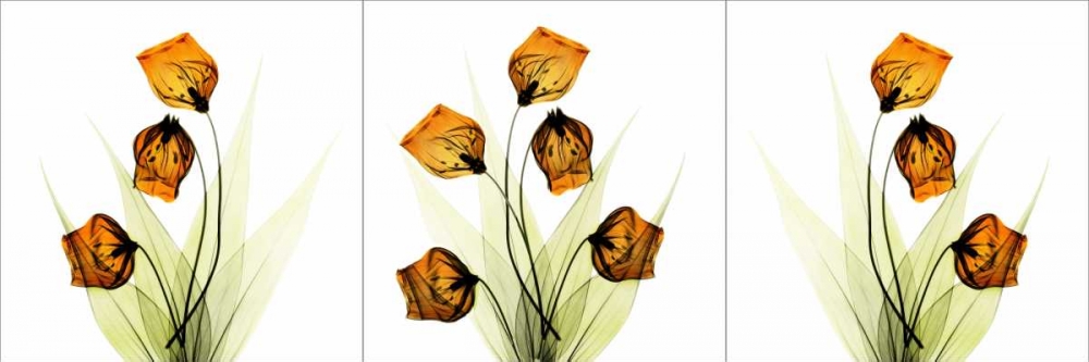 Similar wall art painting: 22082